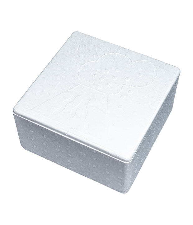 Hộp bao bì EPS