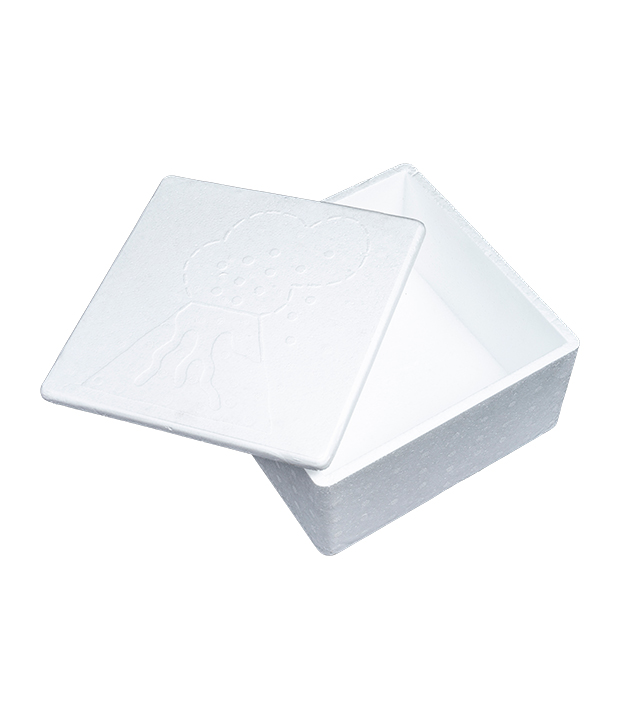 Hộp bao bì EPS